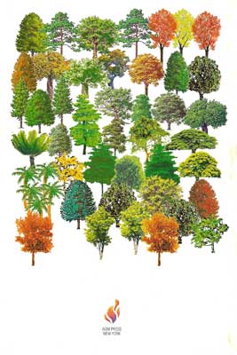 77000_47_back_web.jpg