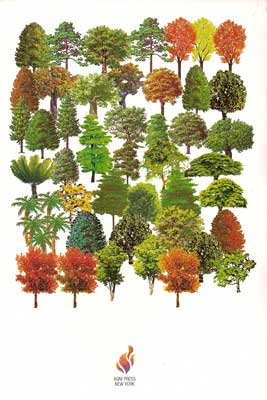 77000_48_back_web.jpg