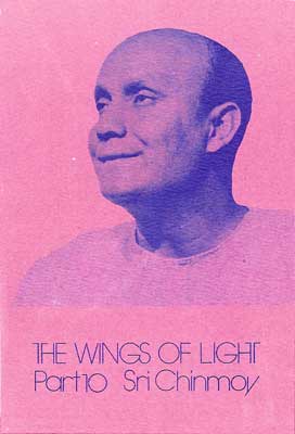 TheWingsOfLight10_web.jpg