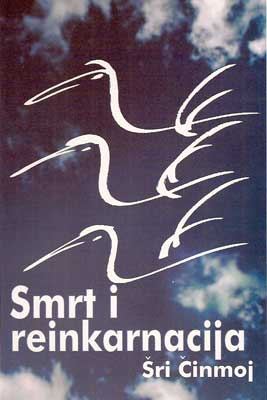 smrtreinkarnacija_web.jpg